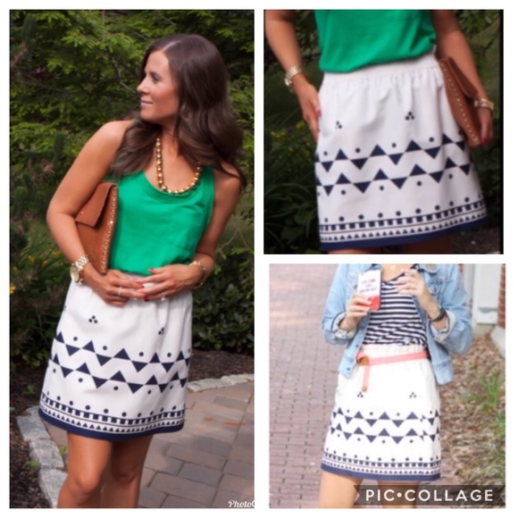 J. Crew Dresses & Skirts - 🦀J. Crew Skirt  Roller Girl Blue Cotton size 0